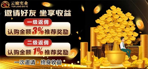 国字号云廊实业 投资市场崛起的一匹黑马与管理咨询赋能之道